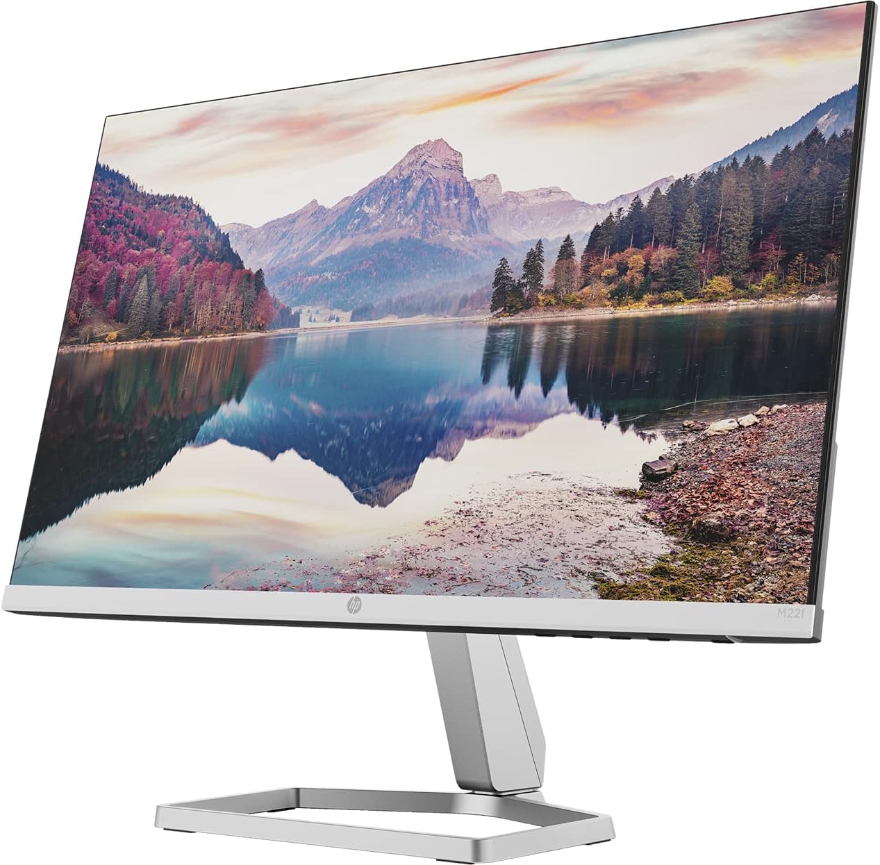 HP 22 IPS 1080P FreeSync Monitor Bundle with Docztorm Dock, 22 inch IPS (1920 x 1080) Display, HDMI, VGA, Adjustable Tilt, Ideal for Home & Business, Black & Silver 2 Pack