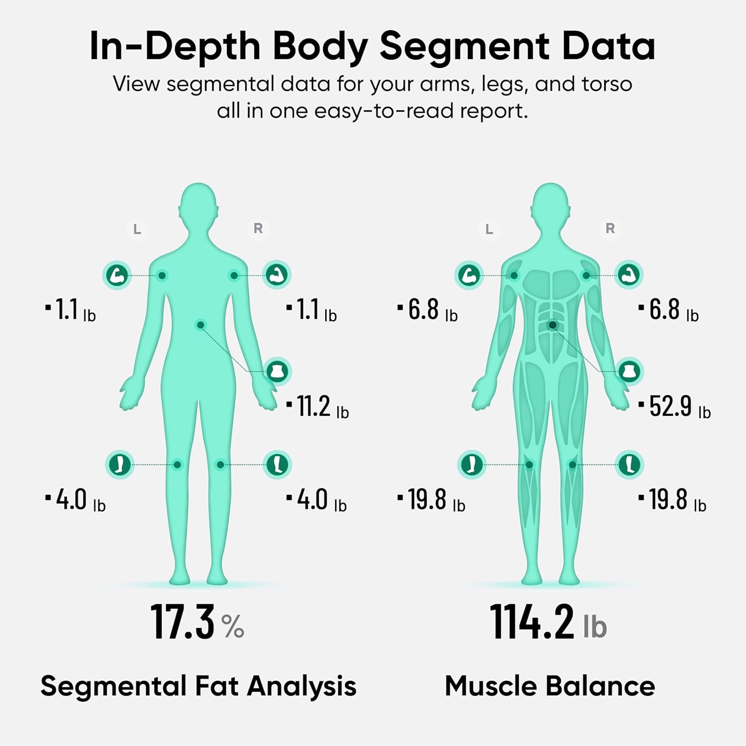 Wyze Smart Scale Ultra BodyScan with Handle – Wi-Fi & Bluetooth Body Composition Scale for Weight, BMI, Body Fat, Muscle Mass, and Segmental Measurement, 400 lbs, Black
