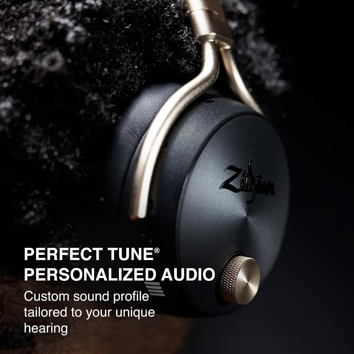 Zildjian ALCHEM-E Perfect Tune Headphones - Black Bundle with Carrying Case, Stand, and Austin Bazaar Polishing Cloth