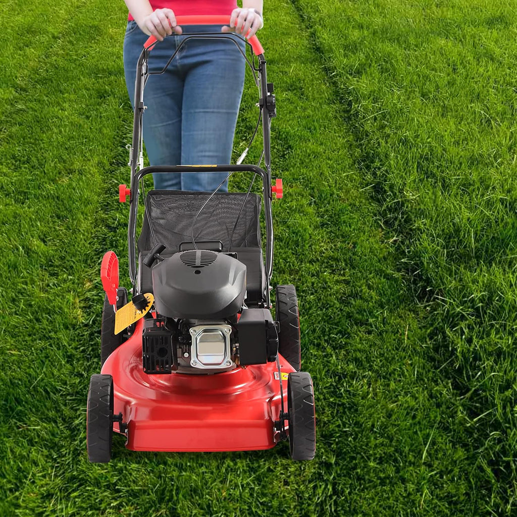20-inch Gas Push Lawn Mower 173CC Walk Behind Push Lawn Mower 4-Stroke Gas Powered Lawn Mower with 8-Position Height Adjustment and 60L Collection Bag for Almost All Lawn Mowing 2800rpm