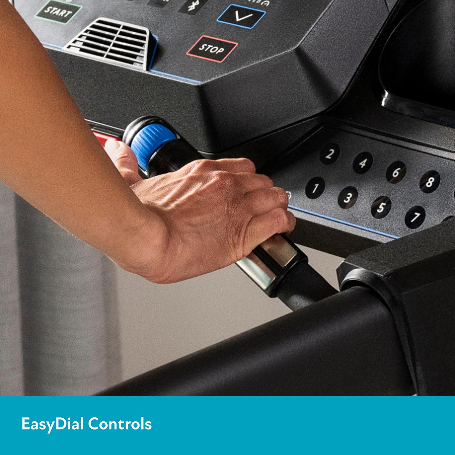 Horizon Fitness Treadmill