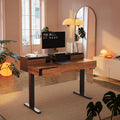 HUANUO Standing Desk with Drawers, 48 Inches Electric Height Adjustable Desk with Storage, Whole-Piece Board Sit Stand Up Desk with Monitor Shelf, Black Walnut