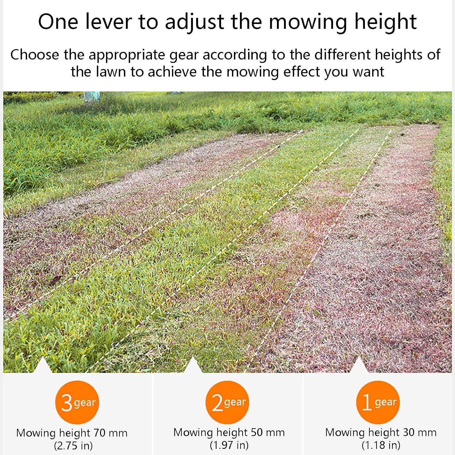 40V 33 cm(13 in) Cordless Electric Push Lawn Mower, with 3-Position Height Adjustment, Compact and Lightweight Battery Powered Lawn Mower (2 * 4AH Batteries & Charger Included)