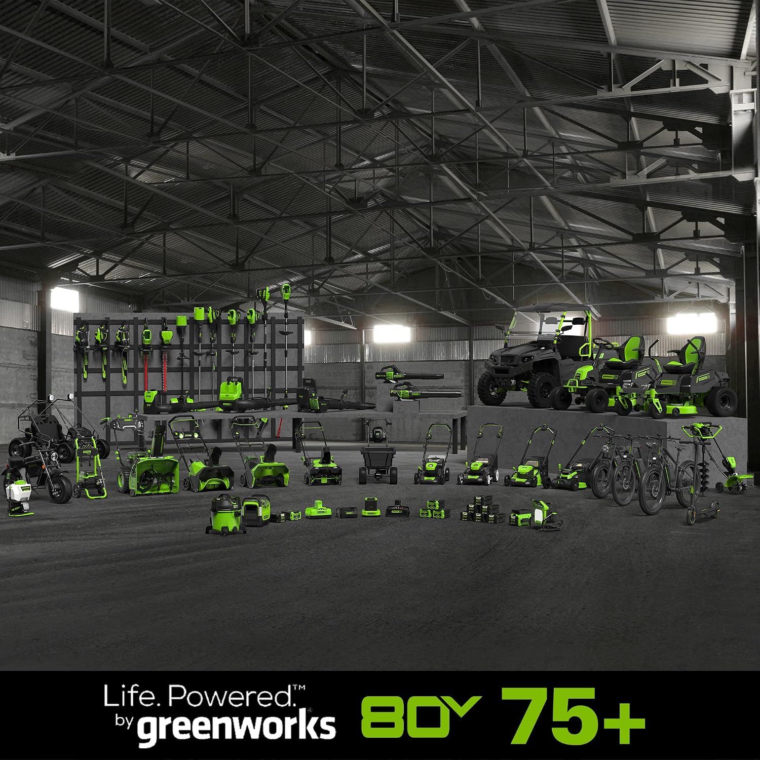 Greenworks 80V 10' Cordless Polesaw (Great For Pruning and Trimming Branches / 75+ Compatible Tools), Tool Only