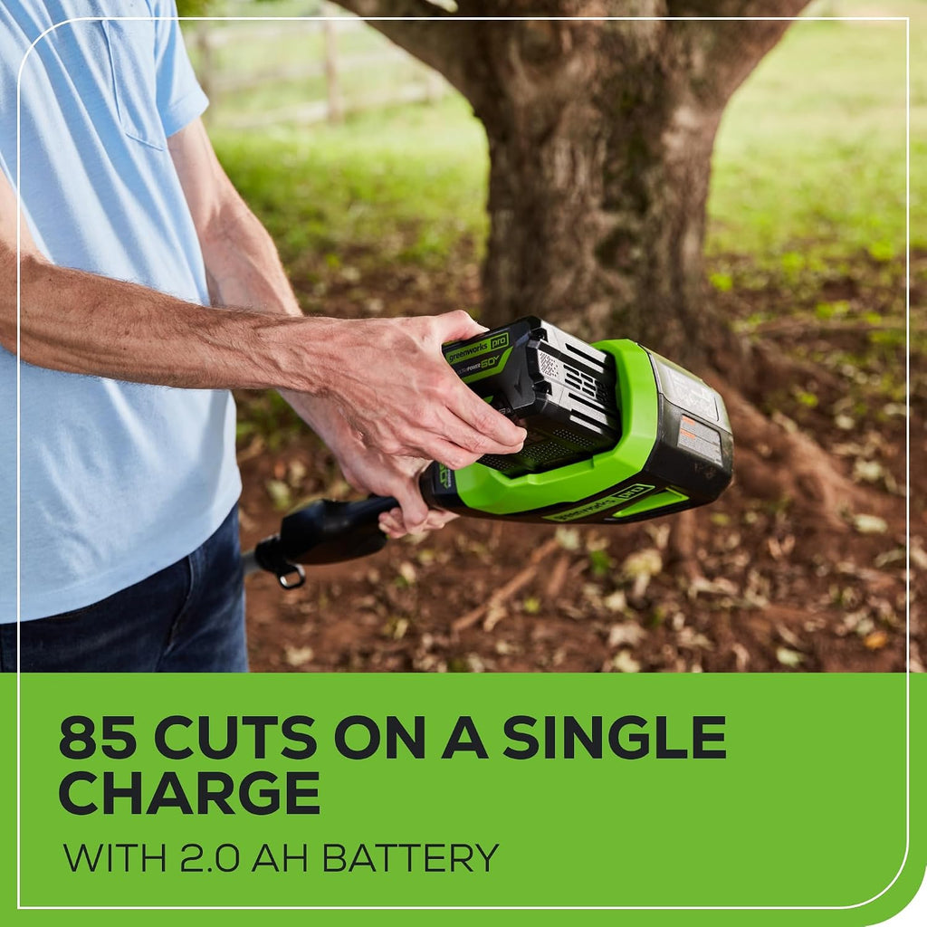 Greenworks 60V 10' Brushless Cordless Pole Saw, 14.5 Ft. Reach, 2.0Ah Battery & Charger